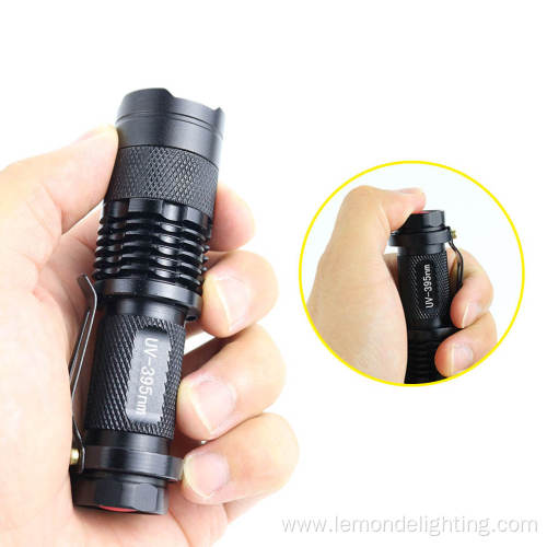 Waterproof IP54 Mini Portable Torch Light